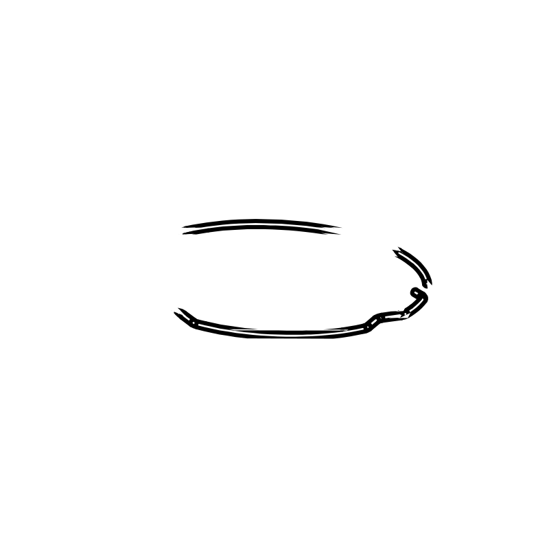 FP0011 - Fuel Pump Spring Clip