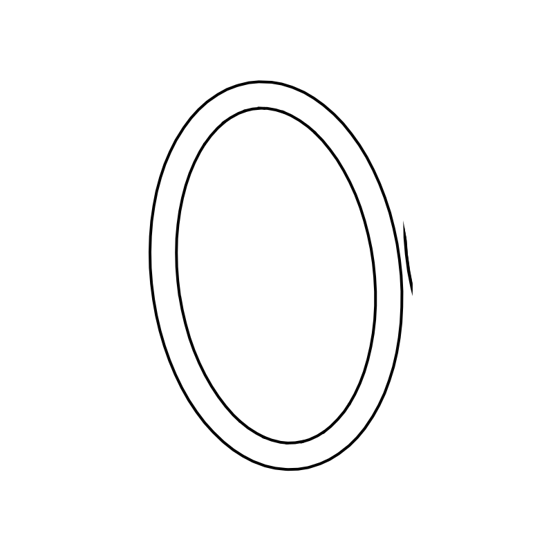FR0006 - O Ring